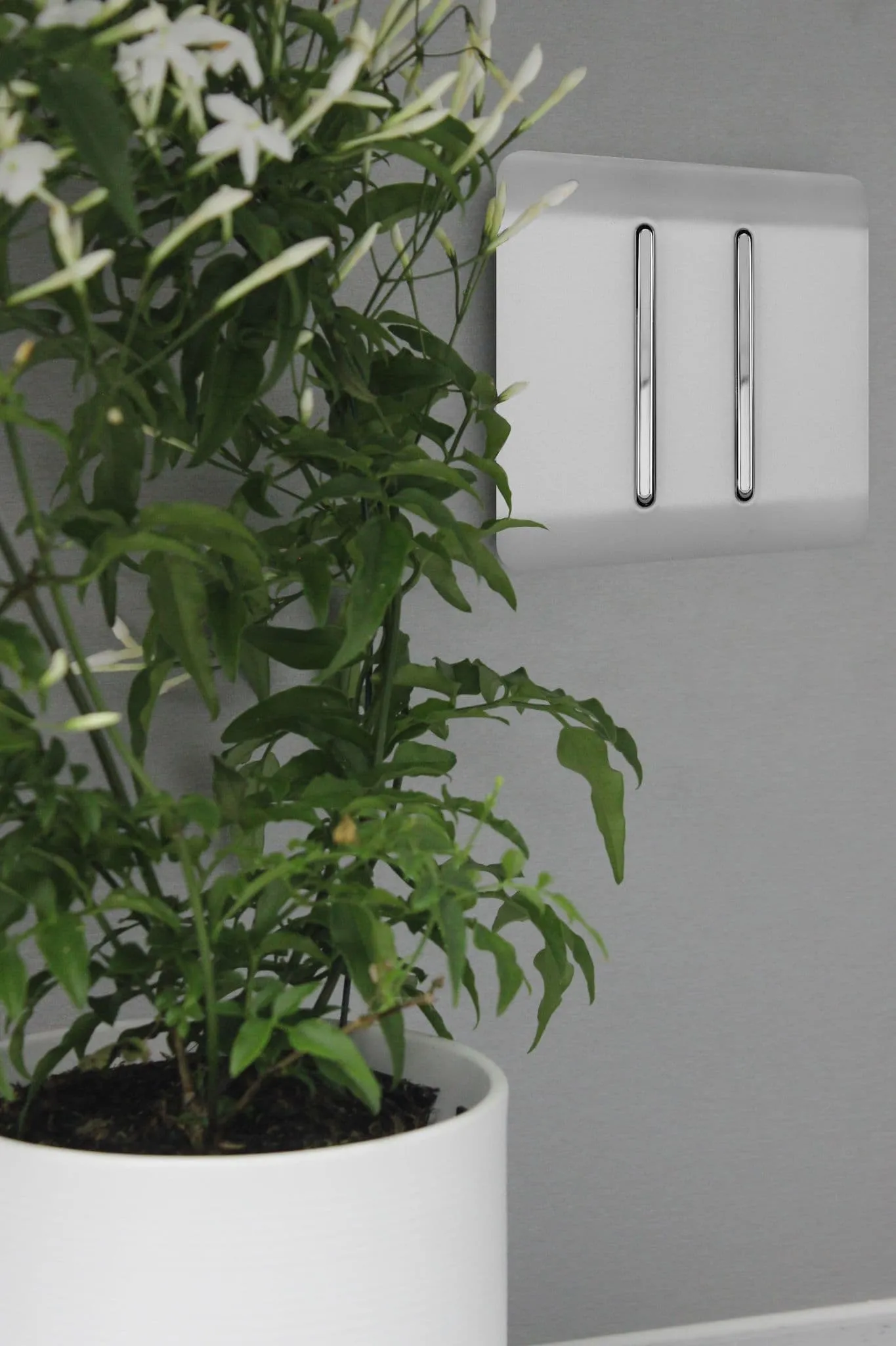 Brushed Steel Wiring Accessories Trendi Decorative Screwless Brushed Steel Wiring Accessories Trendi Decorative Screwless
